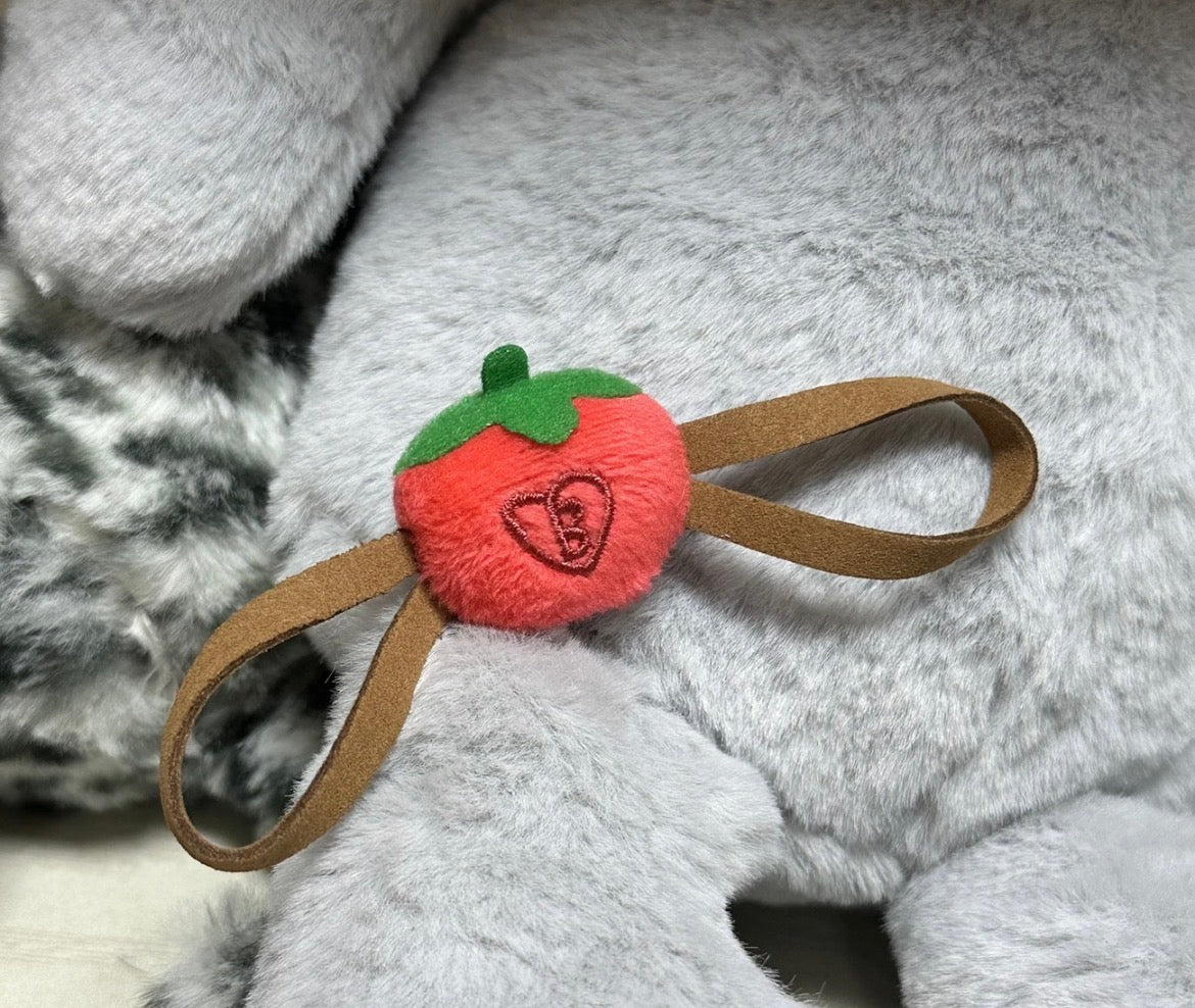 Baekhyun Teolagi accessories for keyrings