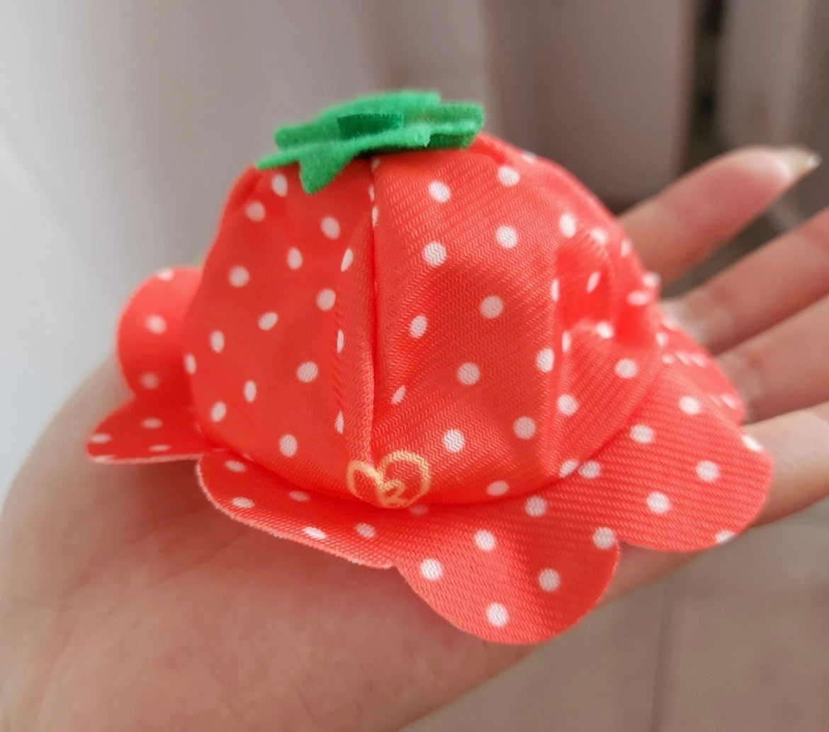 Baekhyun Teolagi accessories for keyrings